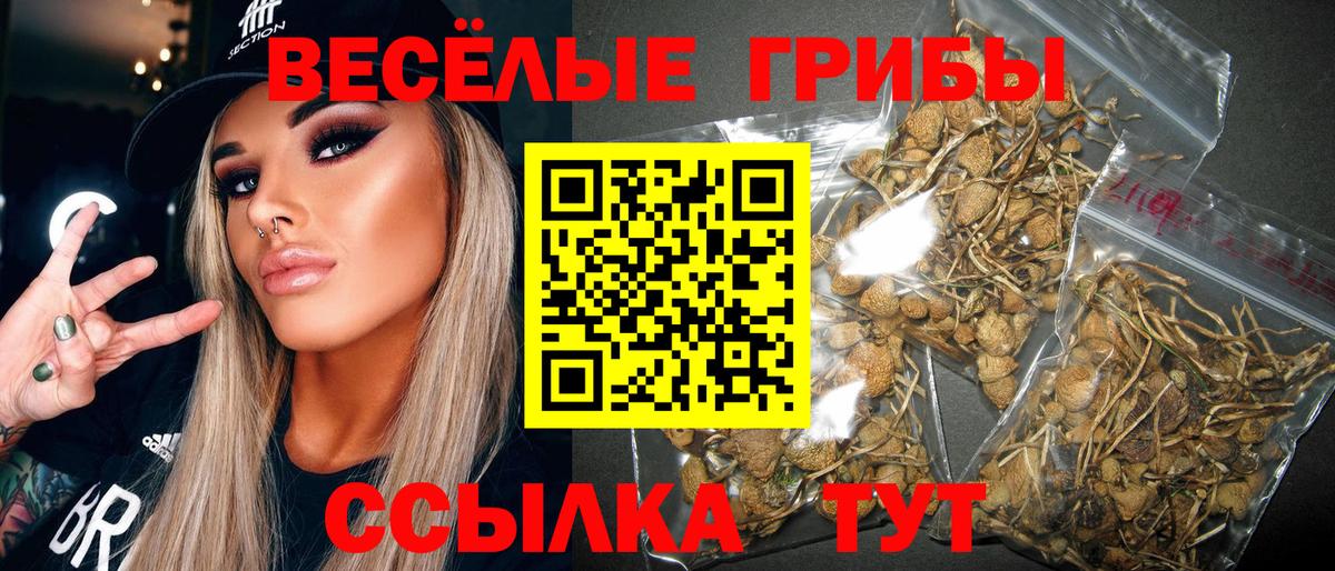 Галлюциногенные грибы MAGIC MUSHROOMS  Вход с VPN  Тихорецк 