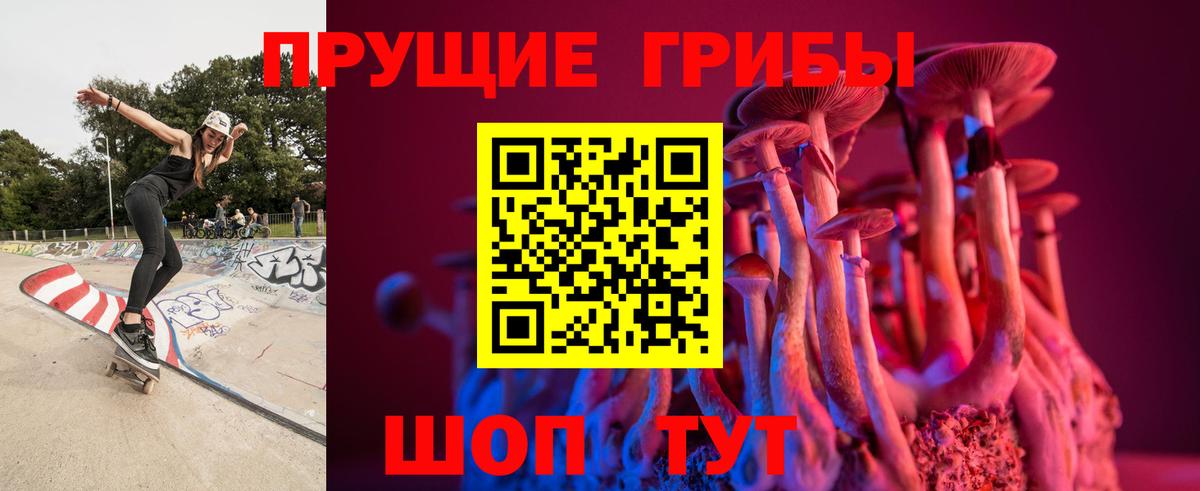 Псилоцибиновые грибы Psilocybine cubensis Тихорецк